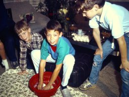 0DIA 1984 RAVA PUPS 1
